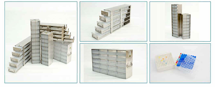 画像_20240403151134