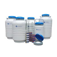 液体窒素容器の理解：主要な機能とアプリケーション